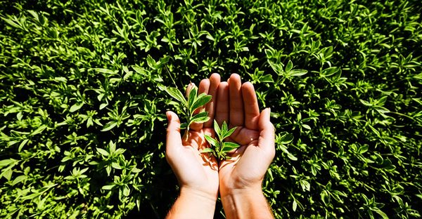 Photo écologie : économie d'énergie et transition durable