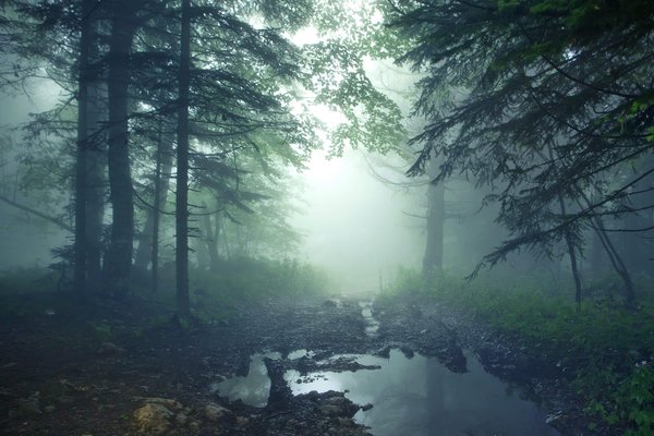 Quelles sont les astuces pour écrire un premier roman de fantasy captivant ?